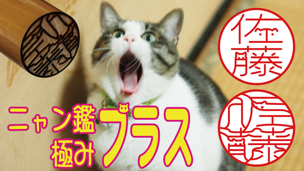 main image thumb
